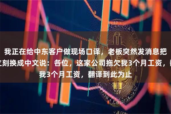 我正在给中东客户做现场口译，老板突然发消息把我开了，我立刻换成中文说：各位，这家公司拖欠我3个月工资，翻译到此为止