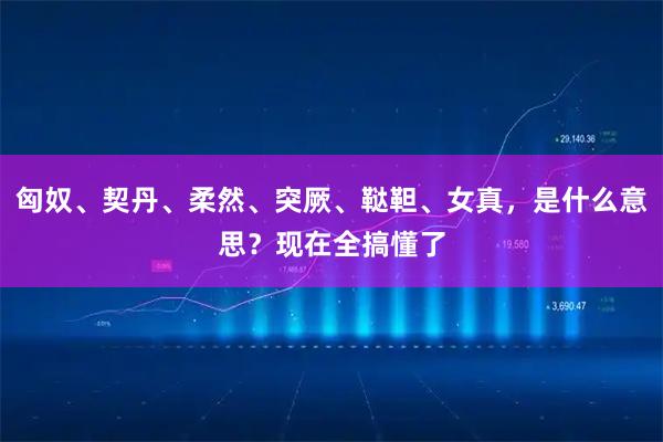 匈奴、契丹、柔然、突厥、鞑靼、女真，是什么意思？现在全搞懂了