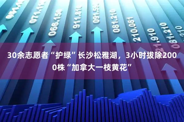30余志愿者“护绿”长沙松雅湖，3小时拔除2000株“加拿大一枝黄花”