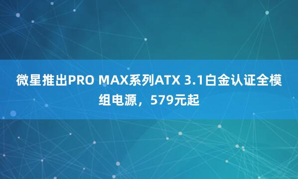 微星推出PRO MAX系列ATX 3.1白金认证全模组电源，579元起