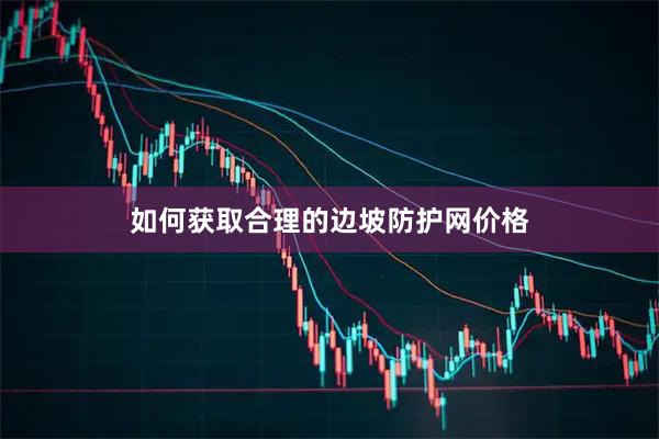 如何获取合理的边坡防护网价格