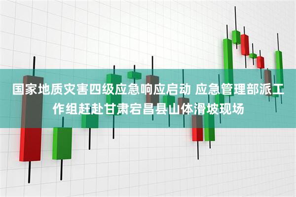 国家地质灾害四级应急响应启动 应急管理部派工作组赶赴甘肃宕昌县山体滑坡现场